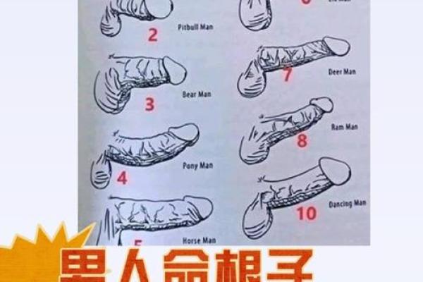 号脉探秘：命运的脉搏与人生的搏击