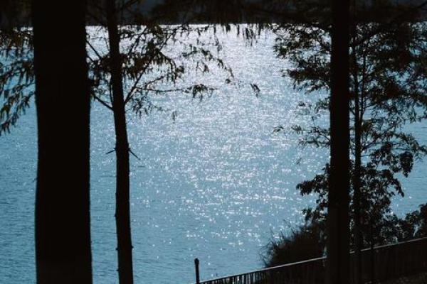 在波光粼粼的水面上,诗意鱼网编织着自然的乐章 在波光粼粼的水面上,诗意鱼网编织着自然的乐章