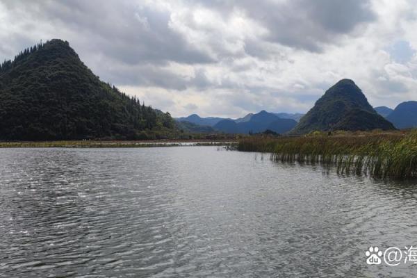 在波光粼粼的水面上,诗意鱼网编织着自然的乐章 在波光粼粼的水面上,诗意鱼网编织着自然的乐章
