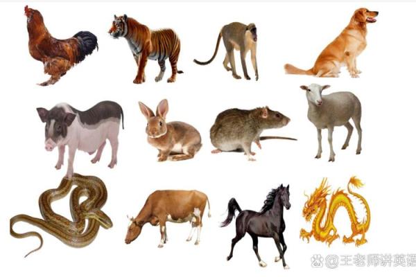 属马腊月十二命运解读:揭示你的性格与人生之路! 属马腊月十二命运解读:揭示你的性格与人生之路!