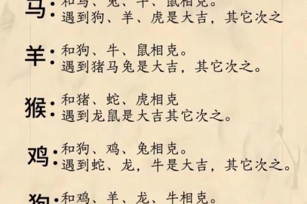 84年属鼠命运揭秘：如何在生活中找到方向与平衡