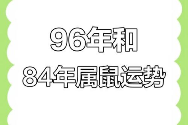 84年属鼠命运揭秘：如何在生活中找到方向与平衡