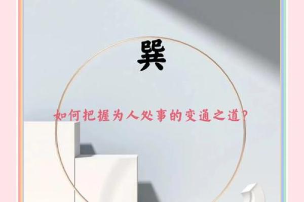 震命男娶巽命女：命理背后的和谐美满婚姻探秘