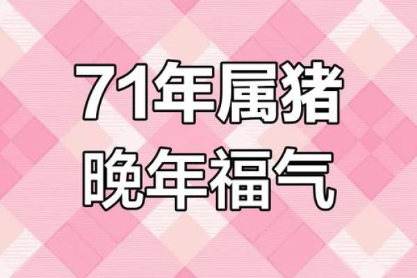 2019土猪年:命理解析与好运放送,你的属猪命该如何把握? 2019土猪年:命理解析与好运放送,你的属猪命该如何把握?