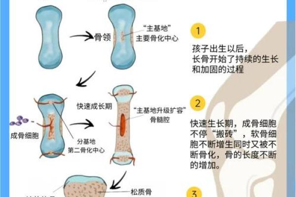 天生骨骼畸形是什么命？解密命运与生命的奇妙联系