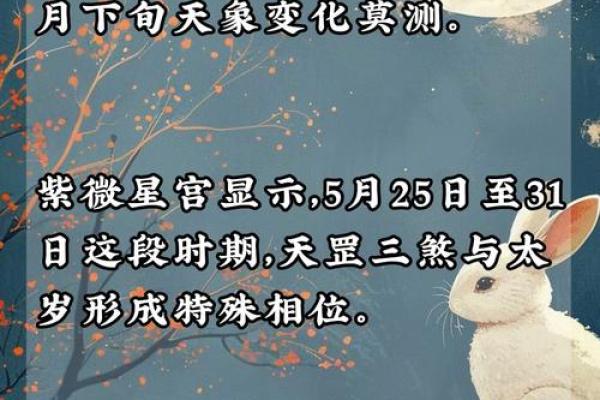 2011年属什命？揭开辛卯兔的神秘面纱！