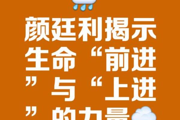 坚持一命抵一命的深刻意义与生活启示