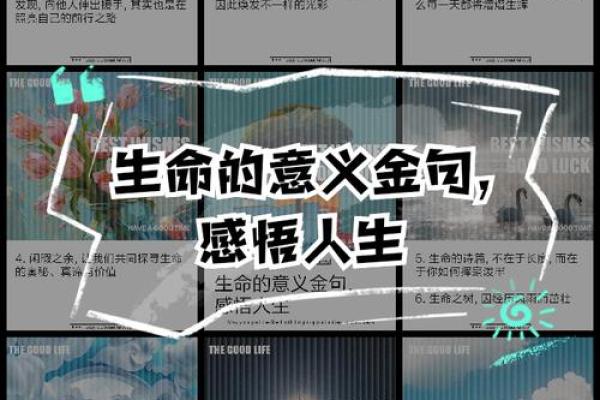 揭开2000年龙男命运的神秘面纱，探索人生之路的奥秘