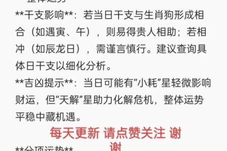 1994属狗的火命解析：性格特点与运势展望