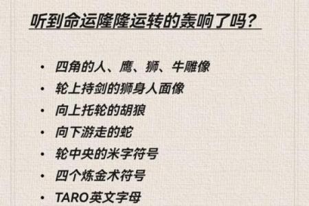 命理揭秘：如何解读命运之轮，掌握人生的方向