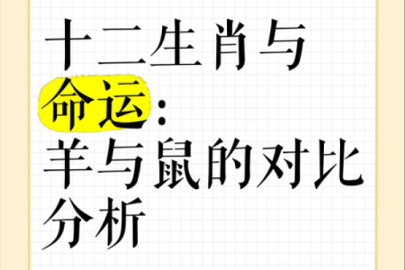 2023年34岁命运解析：你的生肖与事业未来的最佳结合点！