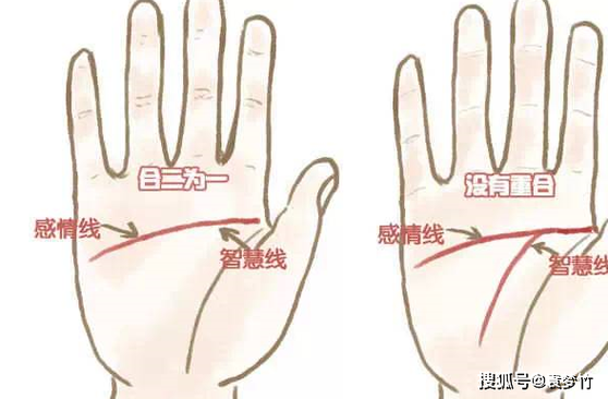 女子断掌命理解析：你知道自己的命运吗？