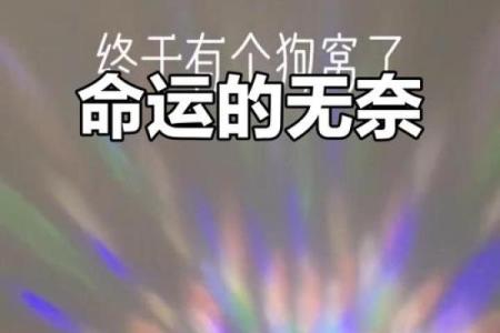 命里无缘：如何面对命运的无常与孤独感