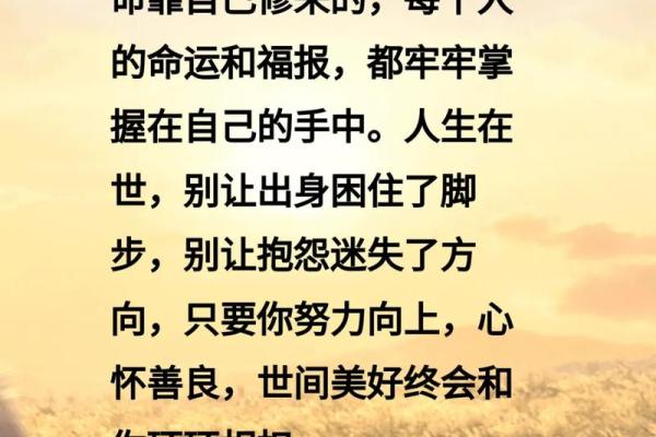 2008腊月27日出生的命运解析：命理与人生的奇妙交织