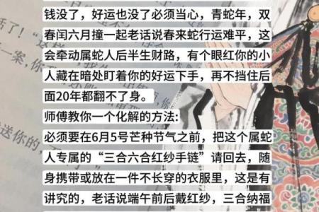 969年属蛇命解析：百般风情与智慧的结合之旅