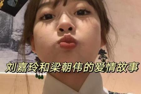 假命天子：一场权谋与情感交织的传奇故事