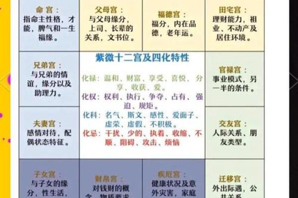 揭开大拇指上的命运密码：你的未来就藏在这里！