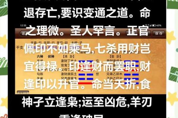 土命龙：探寻命理中的五行缺失与补救之道