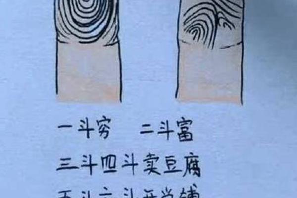 属猴者的命运与生日的奥秘：揭示你人生的精彩旅程