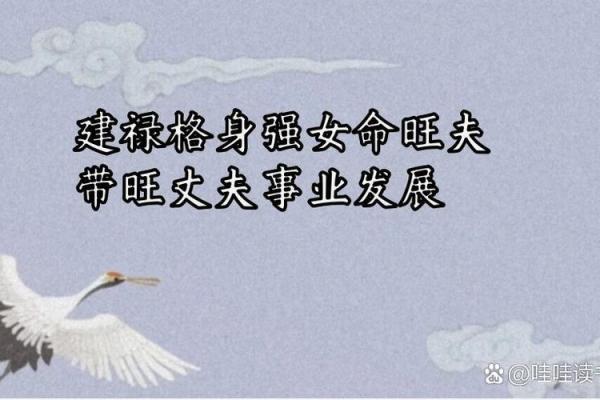探究壬辰命格：如何选择优质配偶以旺夫提升运势