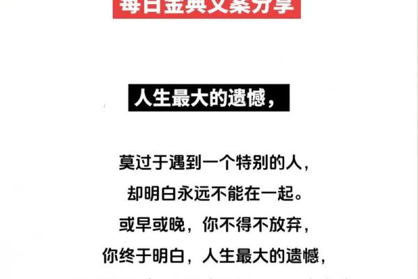 命的争论：到底是什么让我们的人生如此精彩？