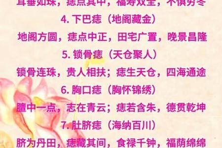 身上志象征的命运之路：探索人生的多元意义