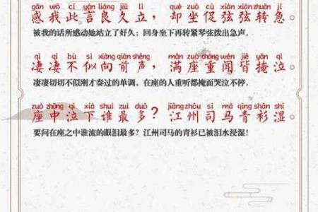 琵琶行的命运诗意：在音韵中诉说人生百态