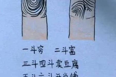 属猴者的命运与生日的奥秘：揭示你人生的精彩旅程