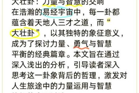 福泽深厚之人：命运与智慧的交响乐