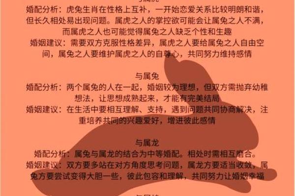 了解1999年兔年出生者的命运与性格特征