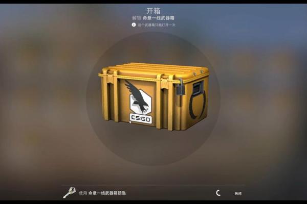 命悬一线的选择：20个箱子背后的神秘与惊悚旅程