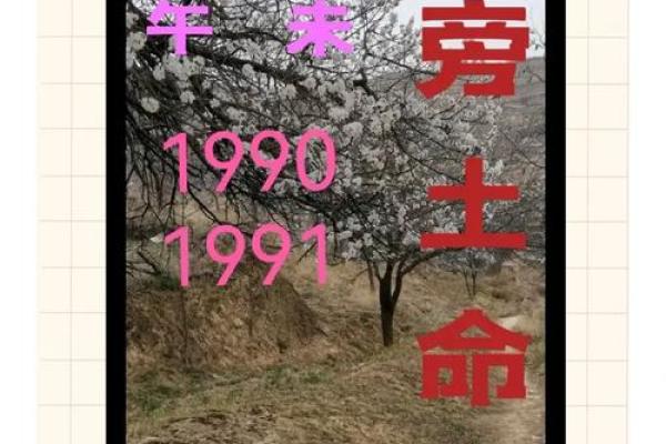 命理学中的土命解析:五行中土的特性和运势影响 命理学中的土命解析:五行中土的特性和运势影响