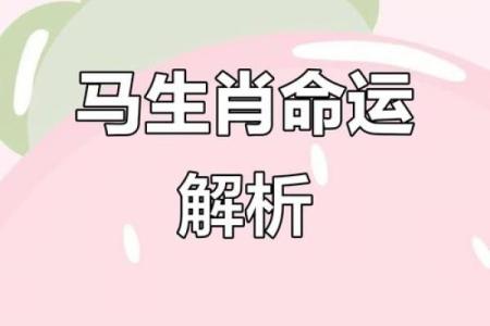探秘23岁命理：属什么、运势如何？