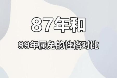 了解1999年兔年出生者的命运与性格特征