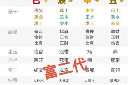 命理中的三两九命格解析：揭开命运的神秘面纱