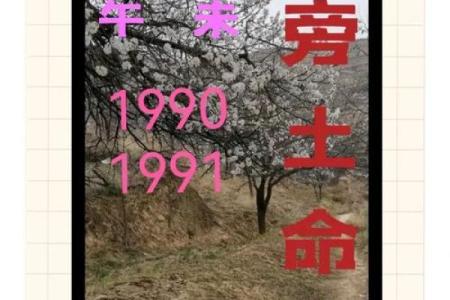 命理学中的土命解析：五行中土的特性和运势影响