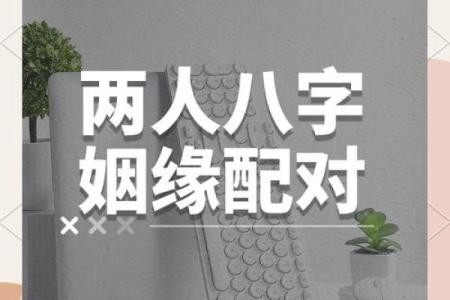 八字合婚：如何解读女命与男命的合与分？