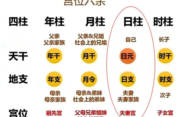 如何识别旺夫命理的男命：让你的婚姻幸福美满的秘密
