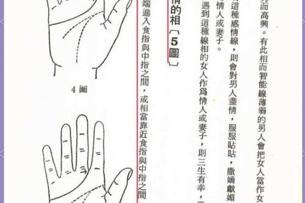 掌纹揭秘：你的命运就在手心，如何通过掌纹了解未来！