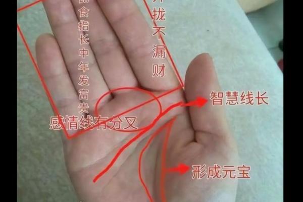 手背青筋明显，揭示你命运的秘密与生活的智慧