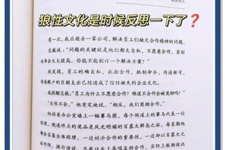 狼命King：从网络文化看年轻人的自我表达与归属感