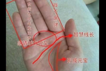 手背青筋明显，揭示你命运的秘密与生活的智慧