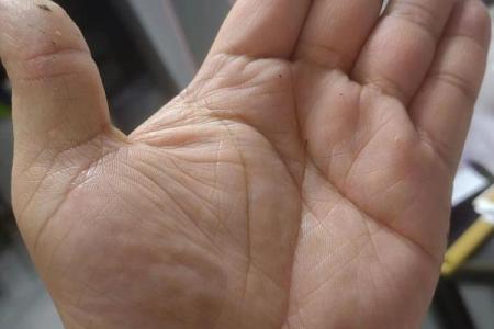 揭开簸箕命男的神秘面纱：手相与命运的深刻关联