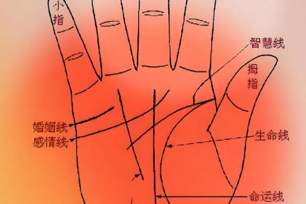 手背纹路深浅与命运的神秘联系