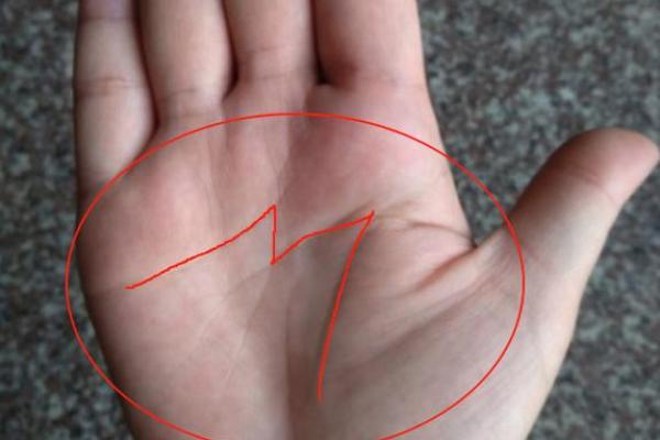 手背纹路深浅与命运的神秘联系