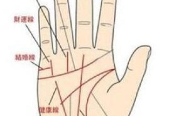 76岁属狗的命格解析：生命的智慧与机遇