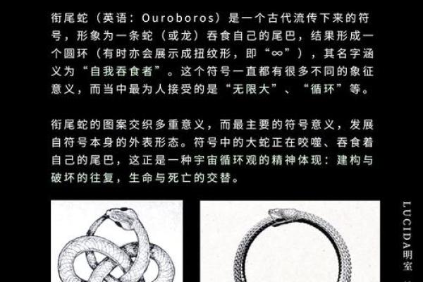 救什么符号命什么符号，探索符号背后的意义与价值