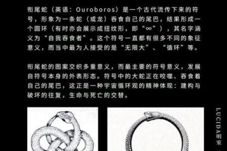 救什么符号命什么符号，探索符号背后的意义与价值