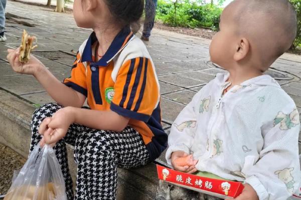 为什么女孩都是菜籽命？探索背后的秘密与魅力