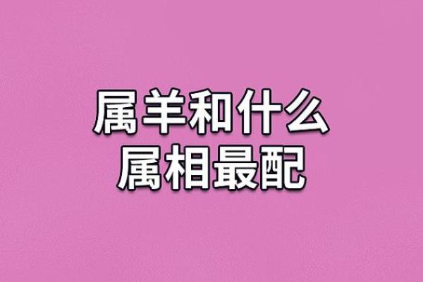 1943年属马的命运与性格解析：揭示你的生活与机会